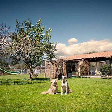 Casa Barros Villa Tui Eksteriør bilde